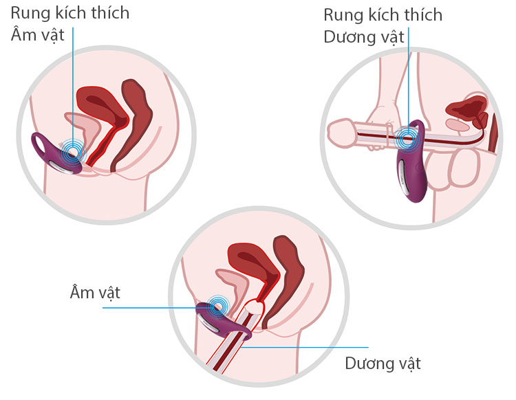 Vòng đeo dương vật Svakom Winni