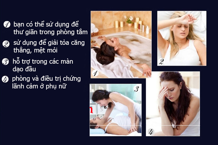 Thanh rung massage Lelo Gigi 2